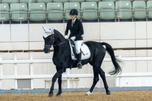 Read more about the article What Is Dressage? The Elegant Art of Equestrian Dance.