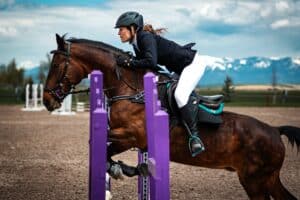 Read more about the article English Horse Riding: Unveiling the Artistry of Equestrian Elegance