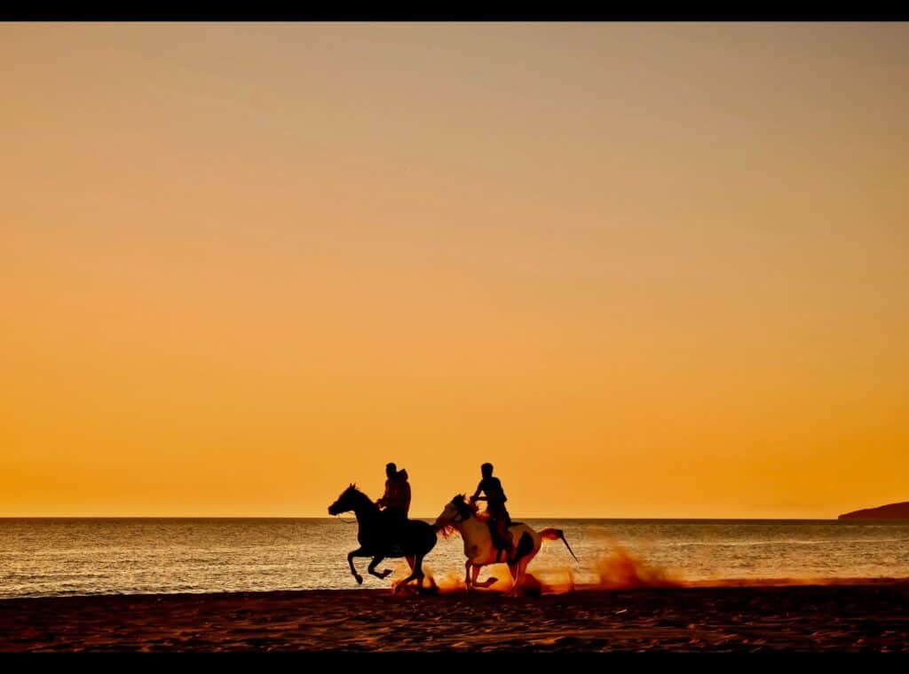 Horse Riding on the Beach: Sun, Sea, and Saddle Adventures