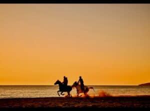 Read more about the article Horse Riding on the Beach: Sun, Sea, and Saddle Adventures