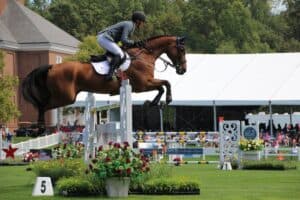 Read more about the article Horse Jumping – All You Need To Know About The Horse Jumping Show!