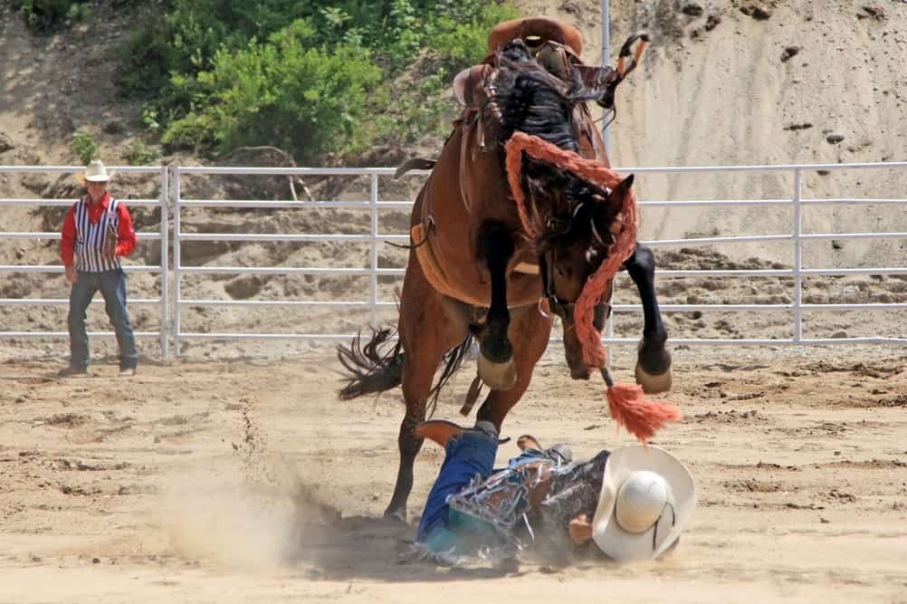 Read more about the article Is horse riding dangerous?